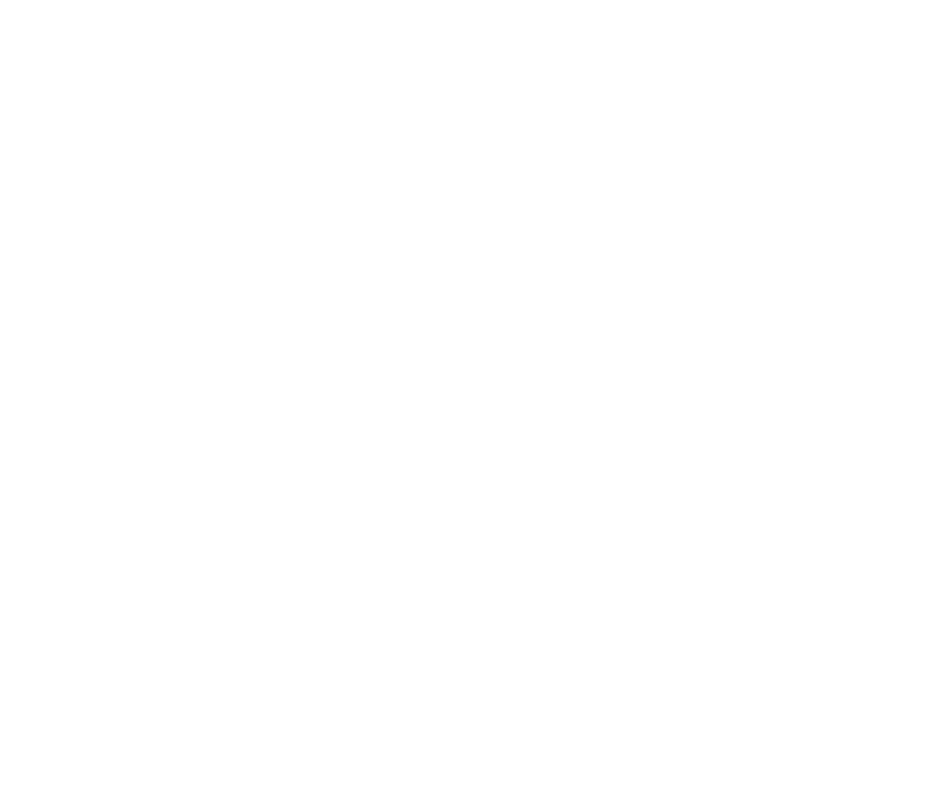 24/7 Vet consultations