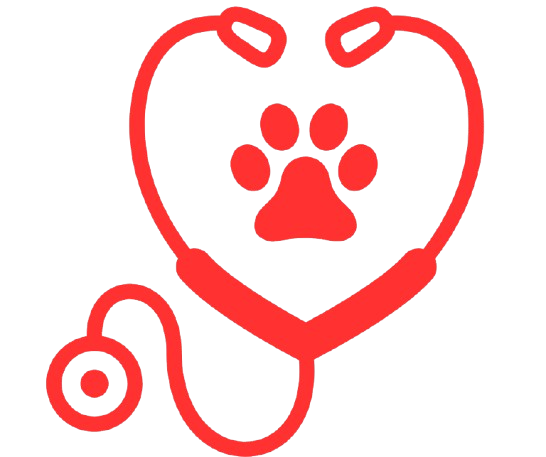 Add your vet details